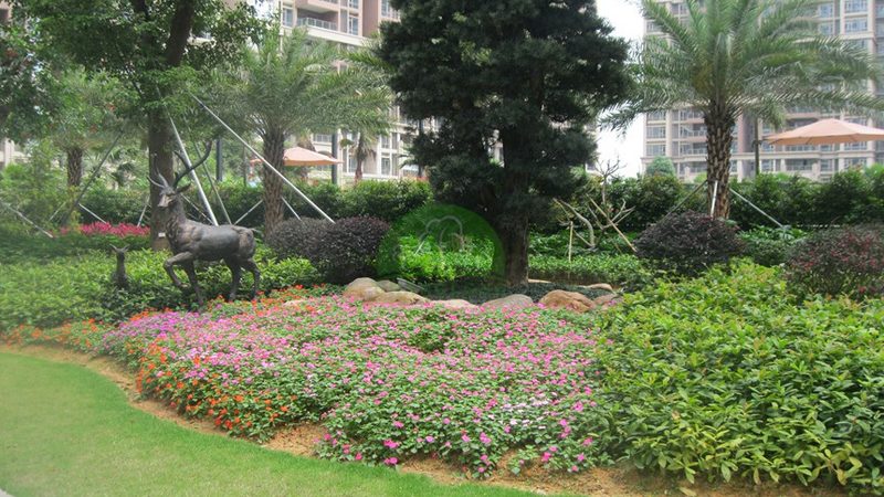 花卉租摆与购买：性价比背后的考量**
